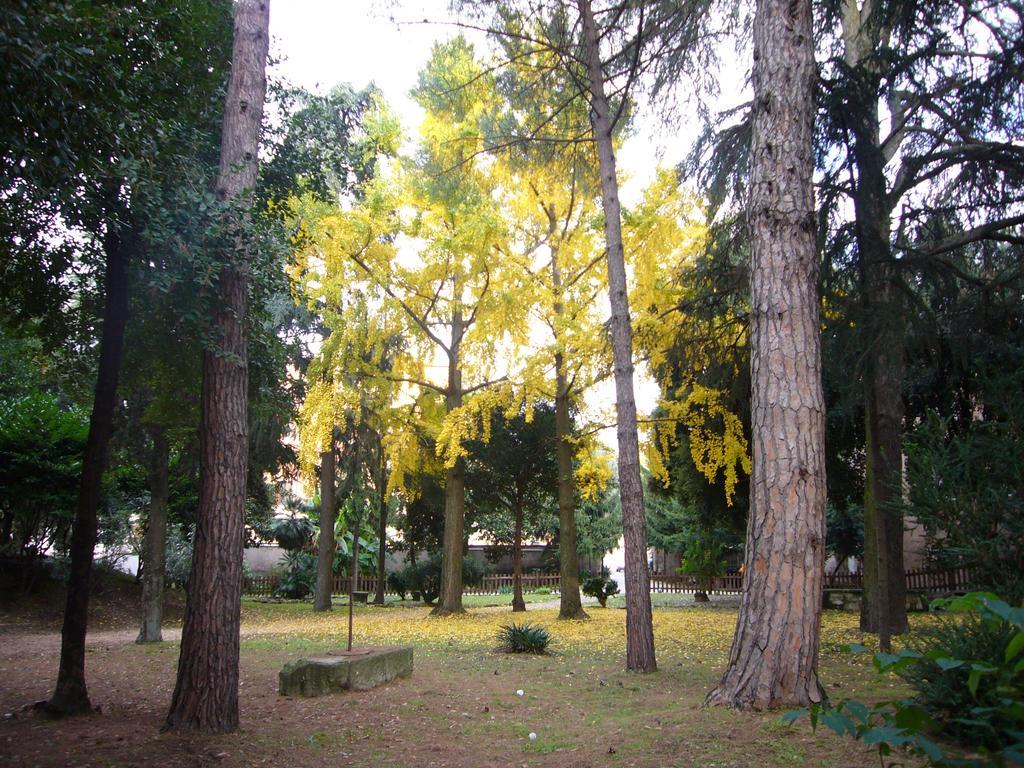 Villa Altieri Albano Laziale Extérieur photo