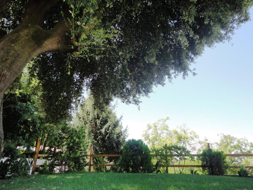 Villa Altieri Albano Laziale Extérieur photo